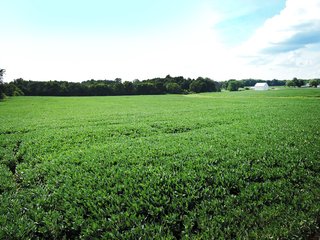 Property photo 1 - LAND AUCTION - 71+/- ACRES OFFERED IN 2 TRACTS IN DELAWARE CO., INDIANA